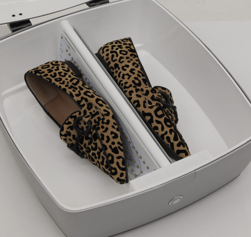 Sanishoes aperto