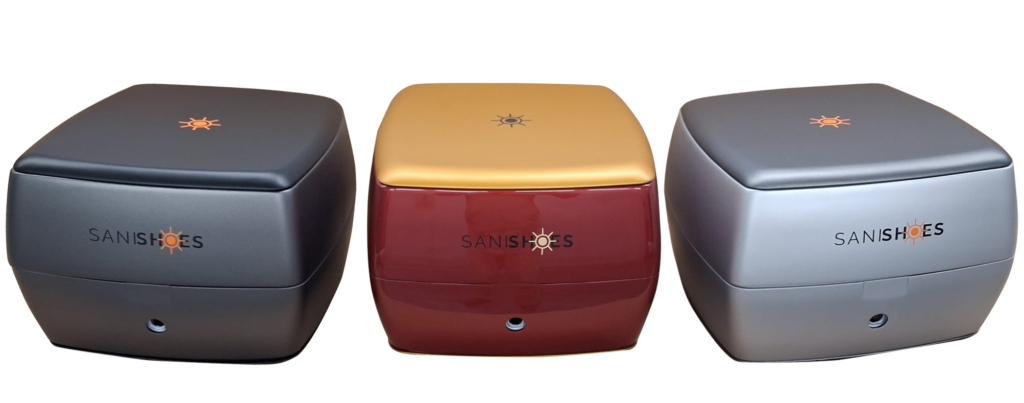 Sanishoes